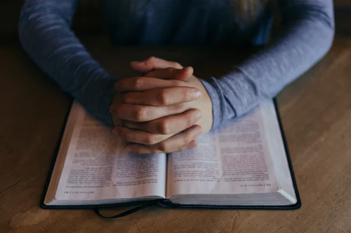 My Bible My Bible